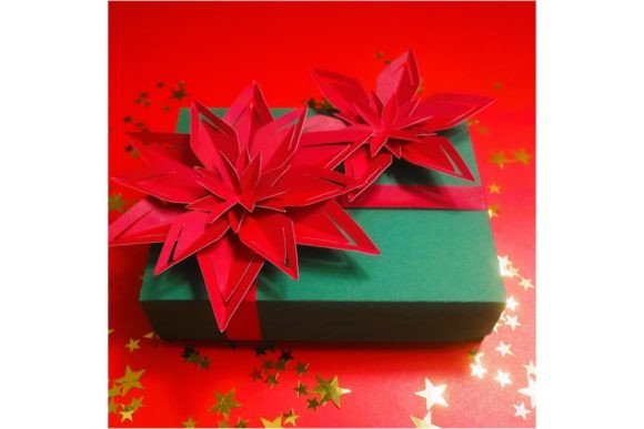Download Poinsettia Gift Box 3 - Poinsettia Collection